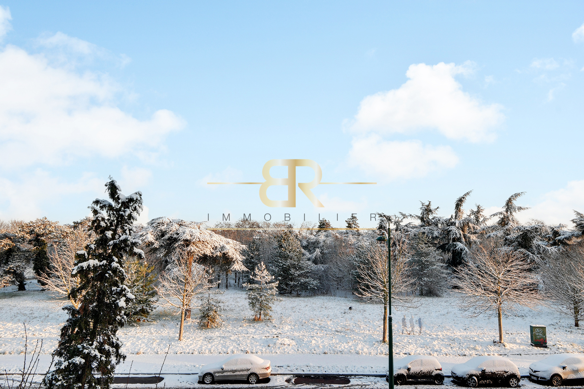 Agence immobilière de Cabinet BR Immobilier