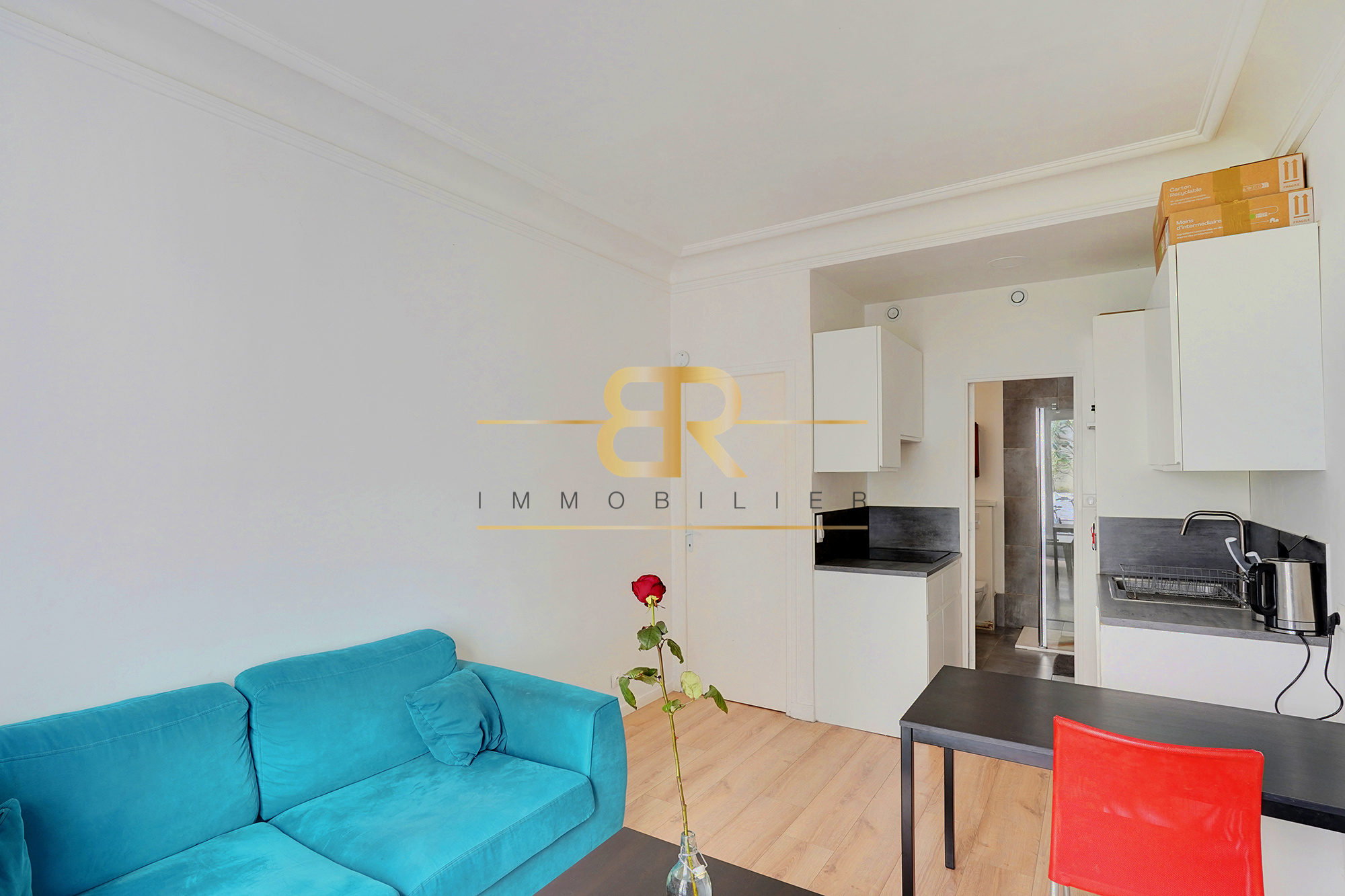 Agence immobilière de Cabinet BR Immobilier