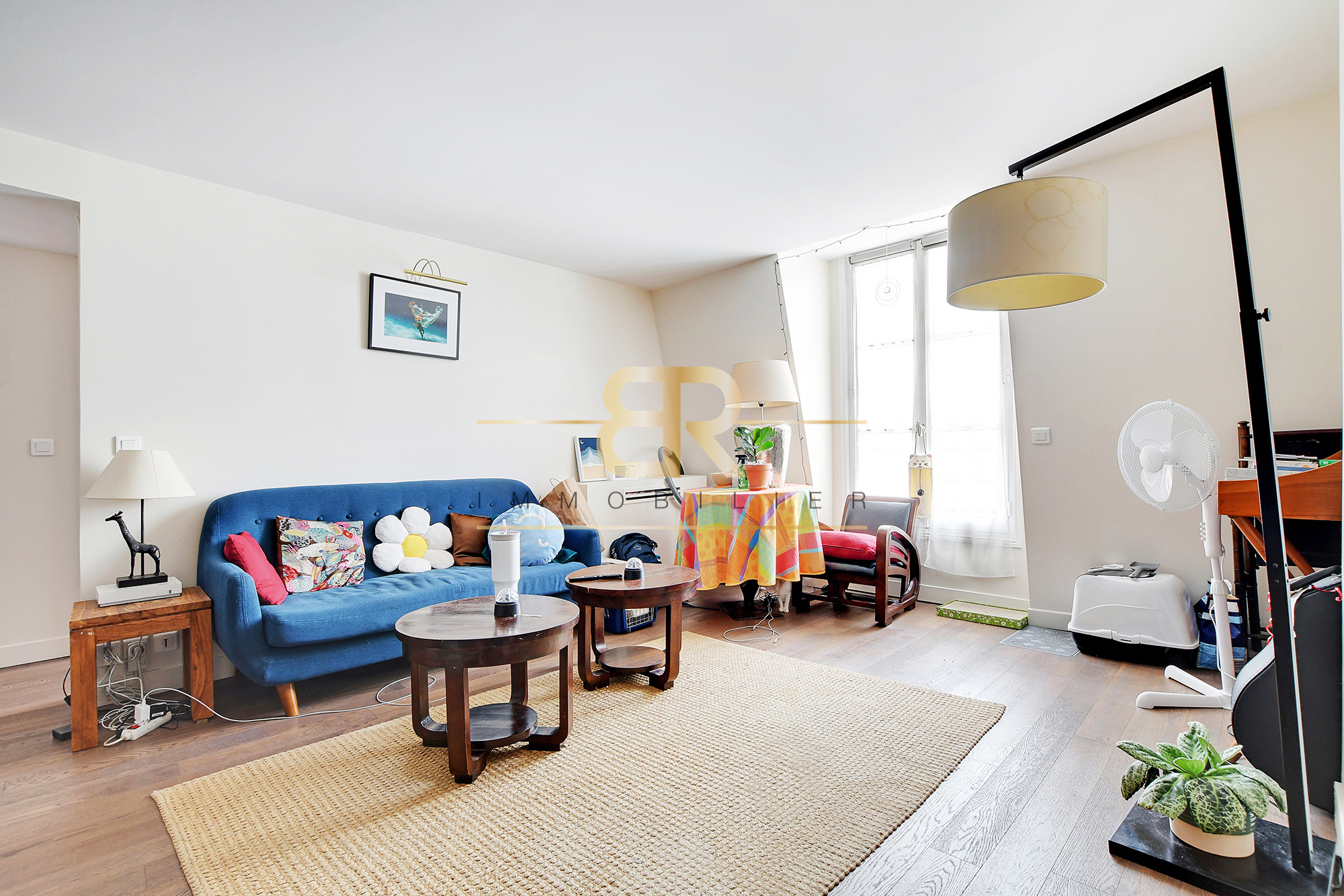 Agence immobilière de Cabinet BR Immobilier