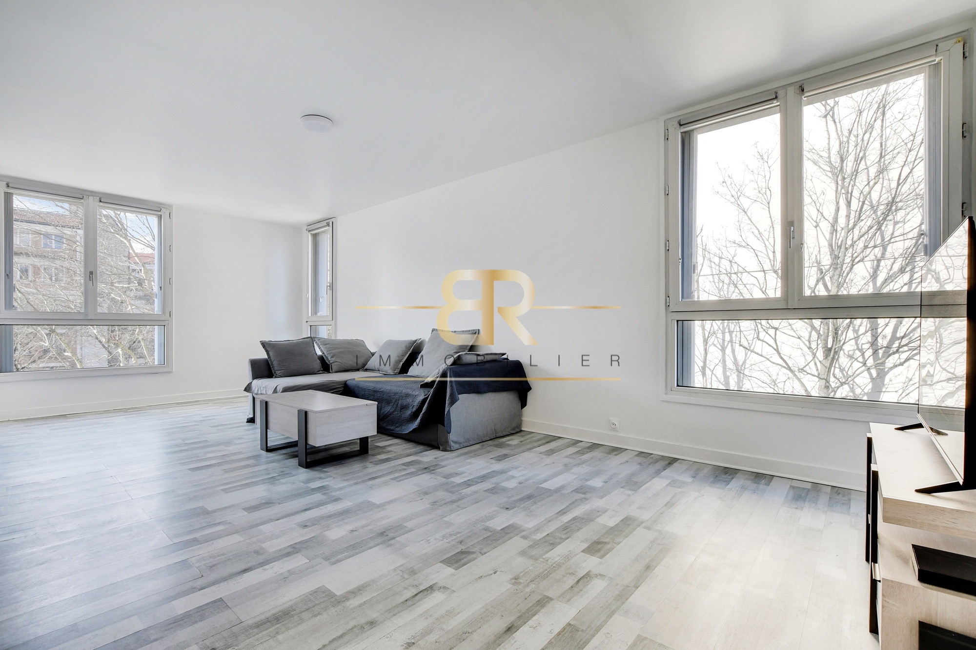 Agence immobilière de Cabinet BR Immobilier