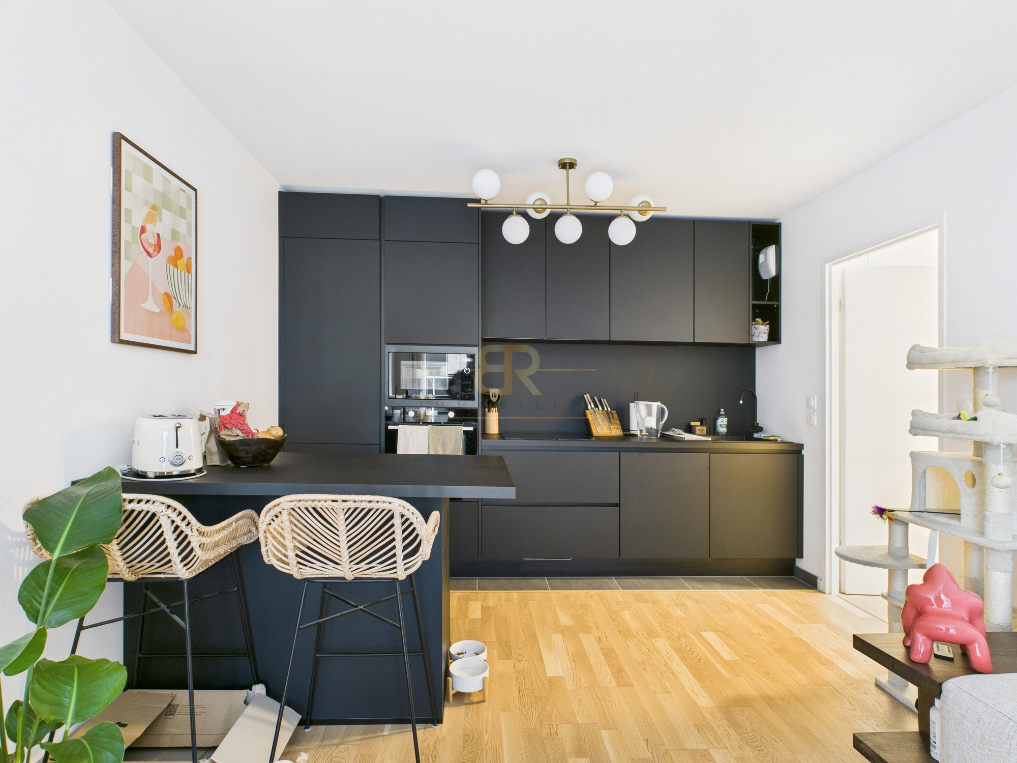 Agence immobilière de Cabinet BR Immobilier